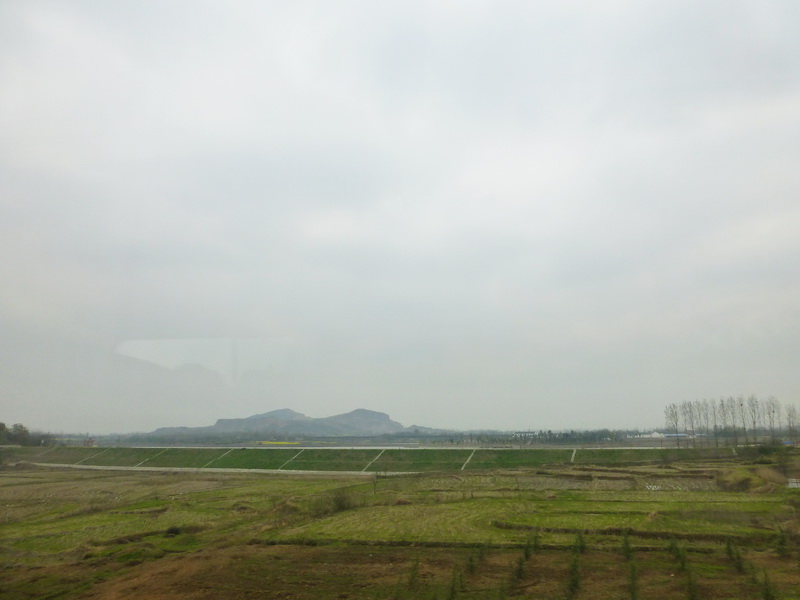 p1040977.jpg