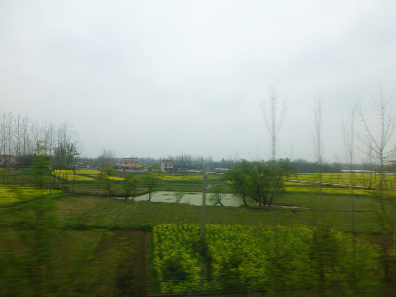 p1040988.jpg