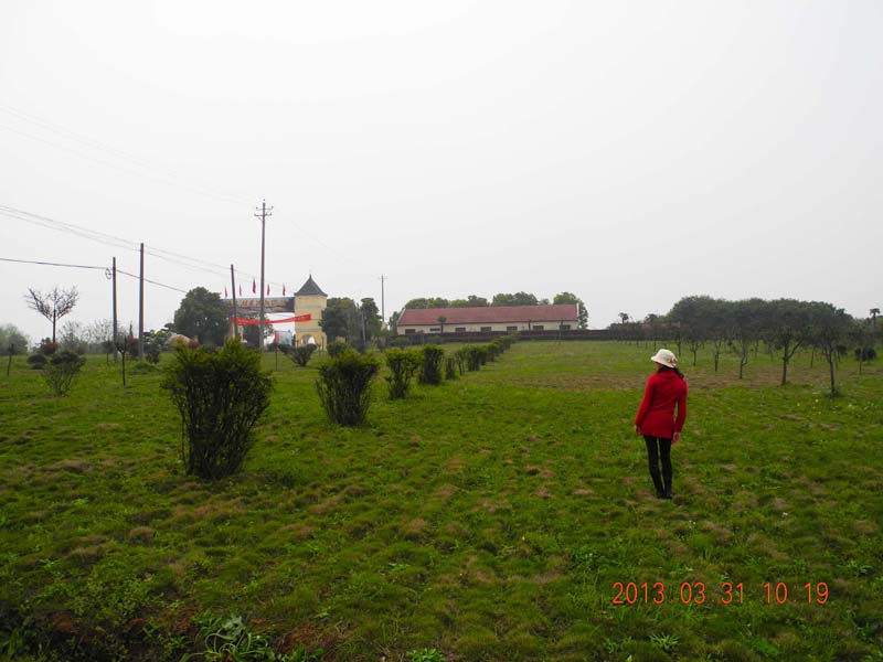 dscn5809.jpg