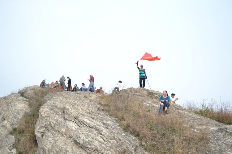 dsc_0231.jpg