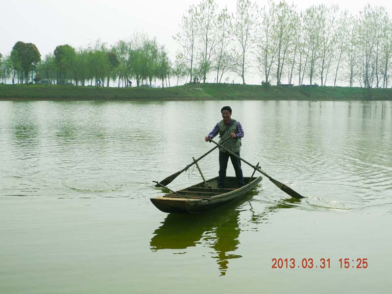 dscn5907.jpg