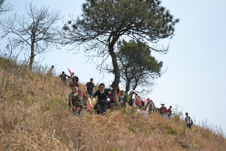dsc_0325.jpg