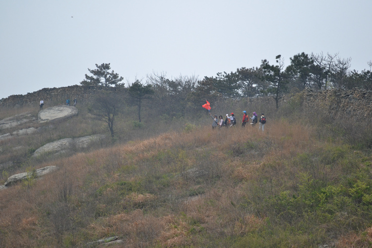 dsc_0330.jpg