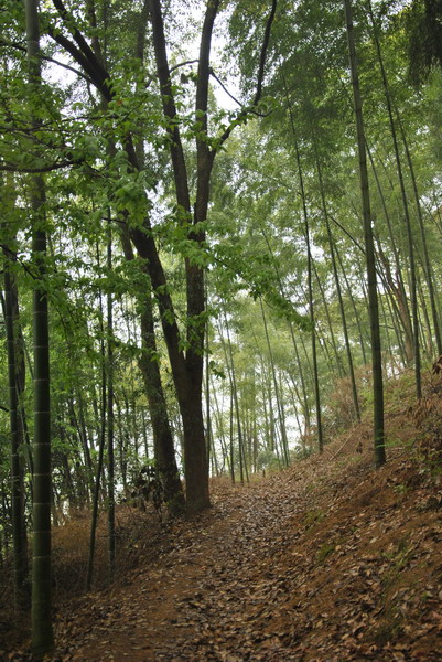 dsc_0084.jpg
