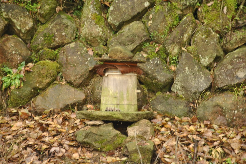 dsc_0085.jpg