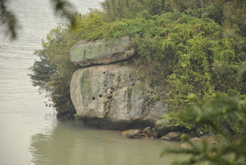dsc_0105.jpg