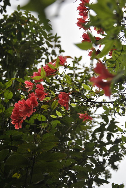 dsc_0111.jpg