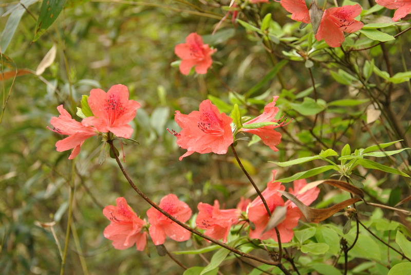dsc_0116.jpg