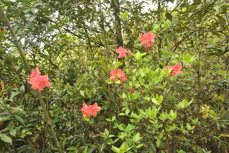 dsc_0119.jpg