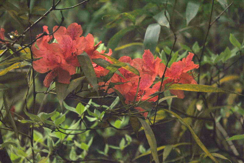dsc_0127.jpg