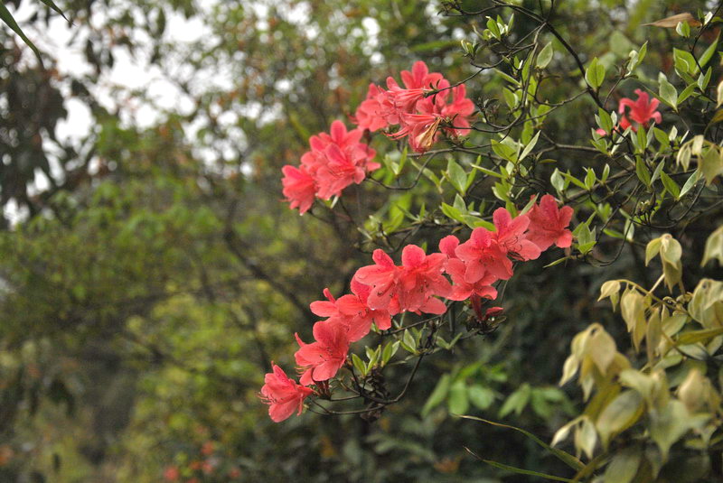 dsc_0134.jpg