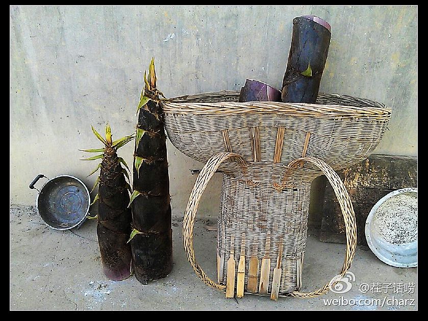 伟岸的山笋.jpg