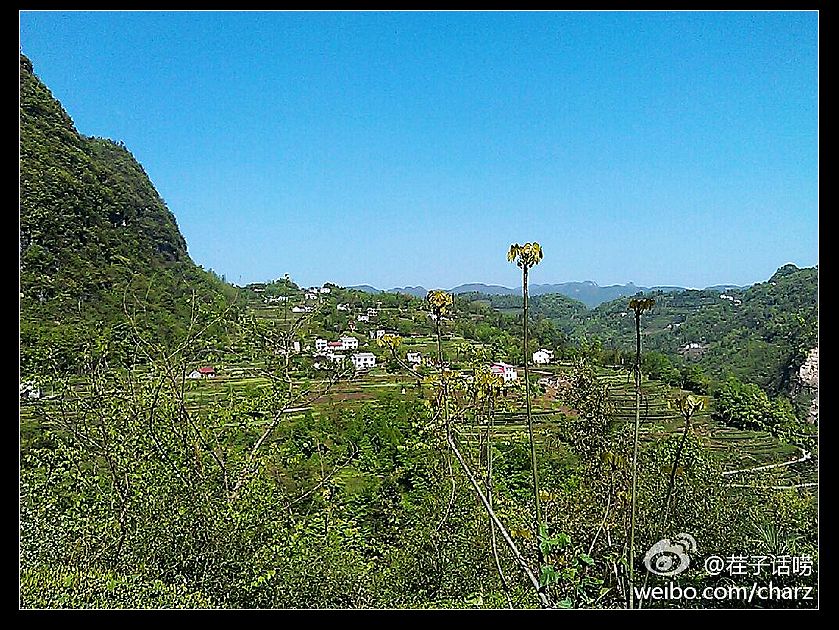 守望的家园.jpg