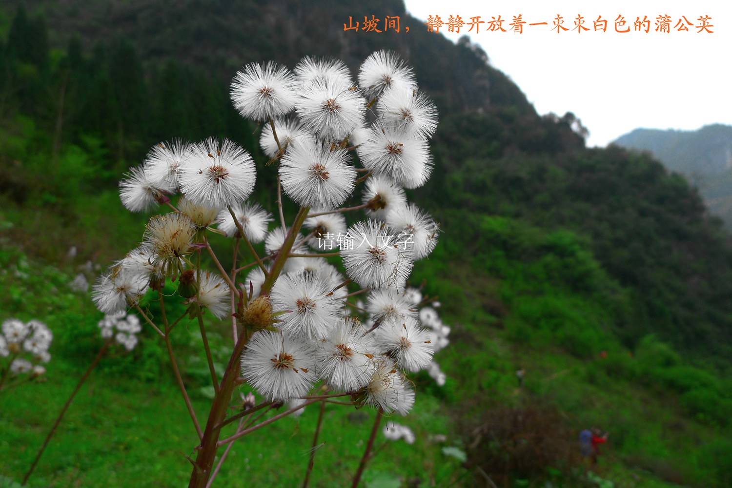 l1020866_副本.jpg