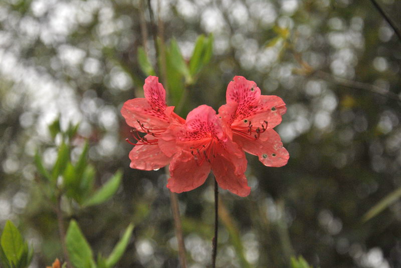 dsc_0148.jpg
