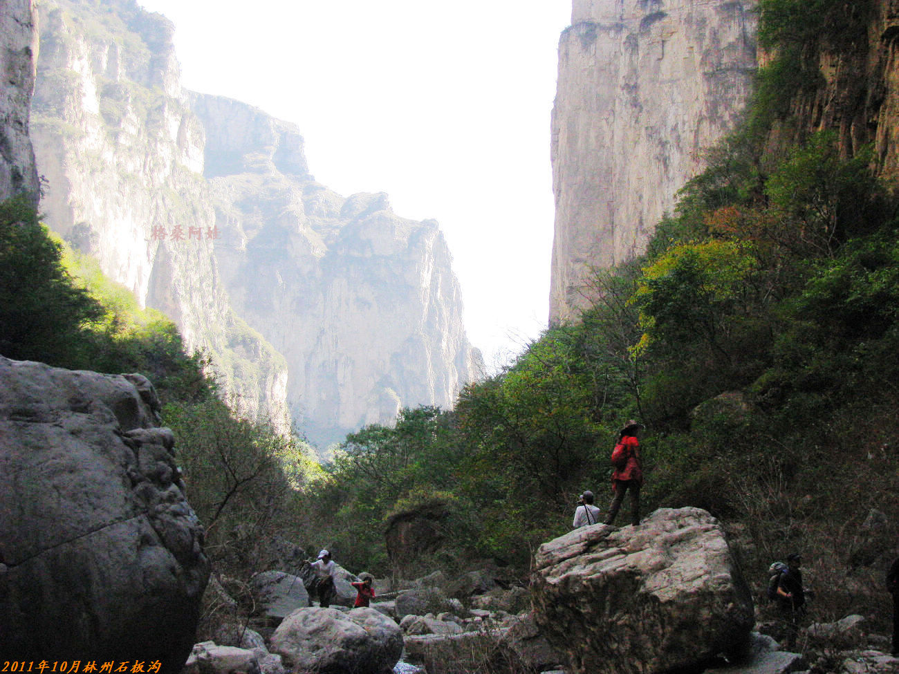 201110ʯ幵Ҷ 287-1-.jpg