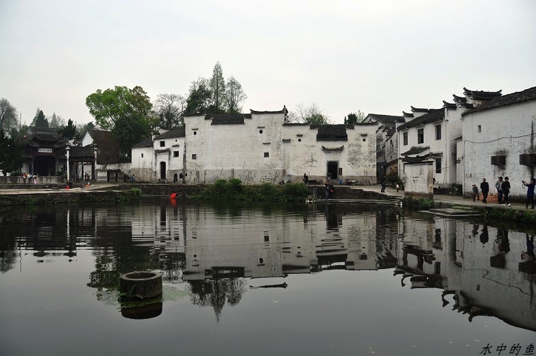 neo_img_dsc_0249.jpg