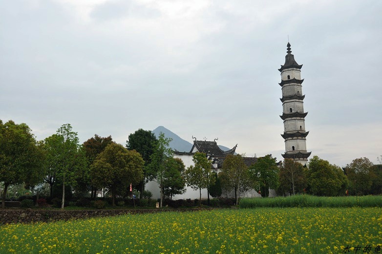 neo_img_dsc_0272.jpg