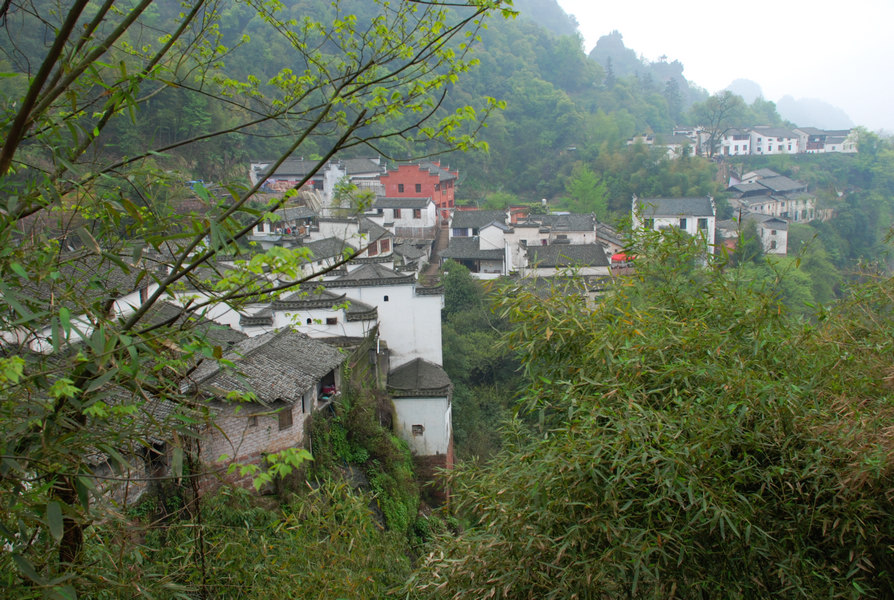 dsc_0222.jpg