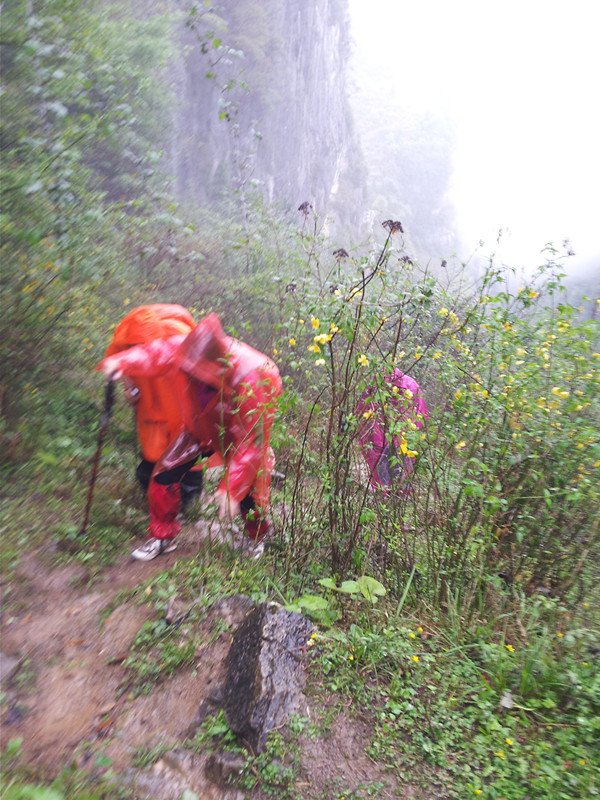 20130404_152528_.jpg