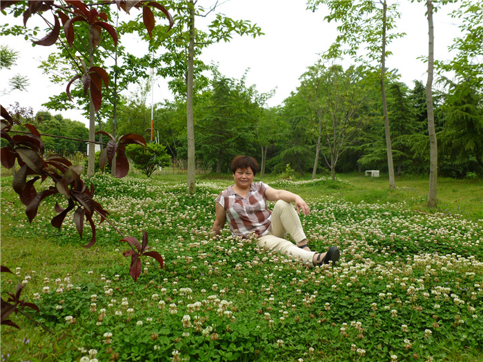 p1020676_.jpg