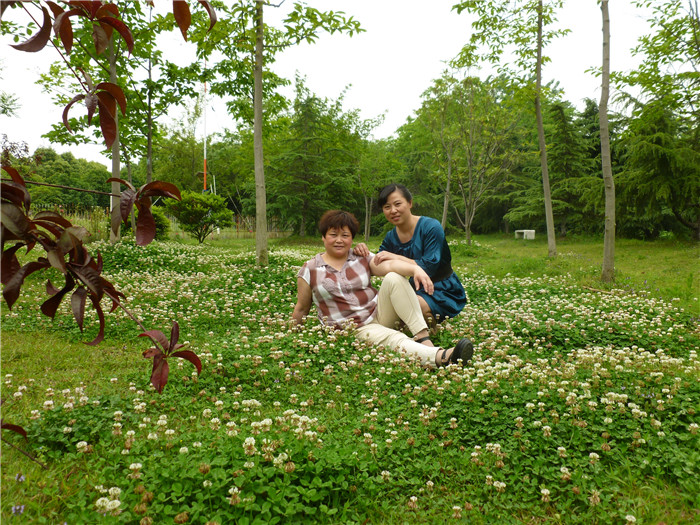 p1020677_.jpg