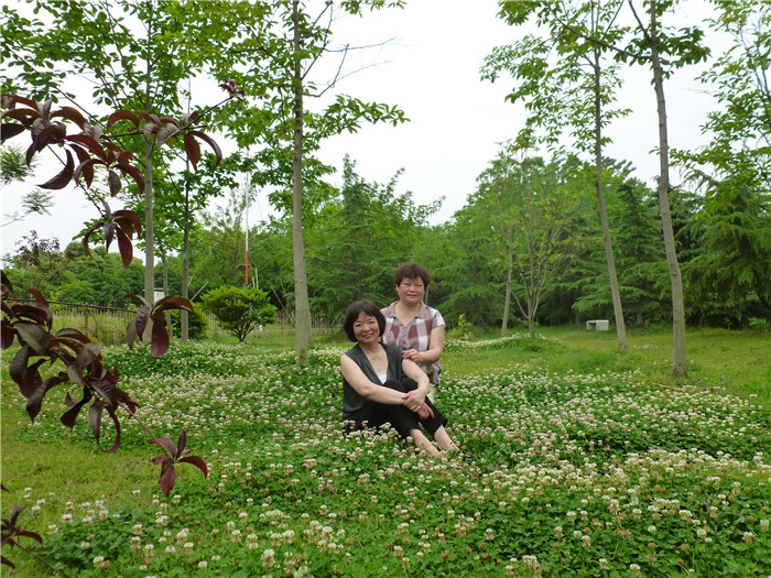 p1020678_.jpg