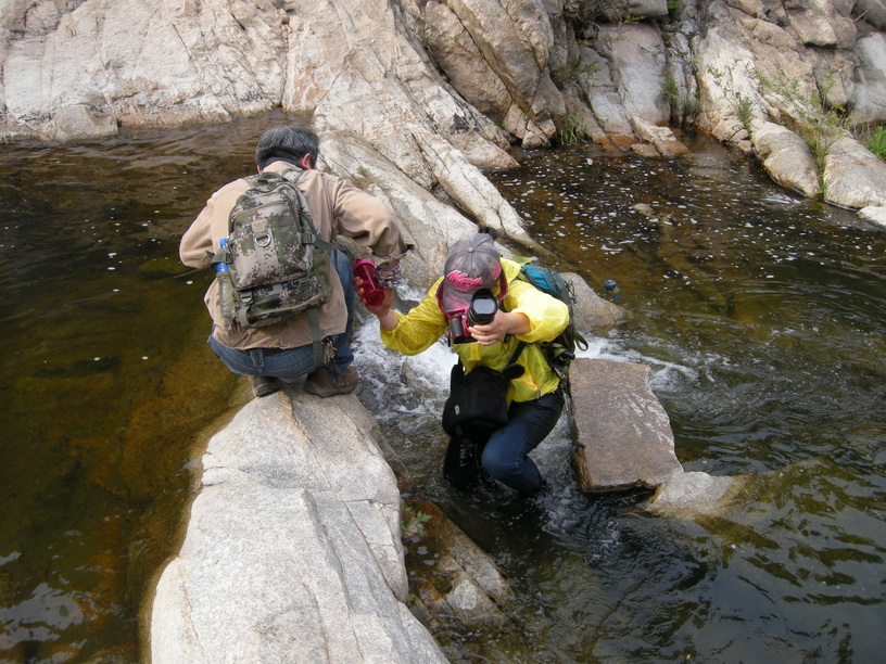 dscn8773.jpg
