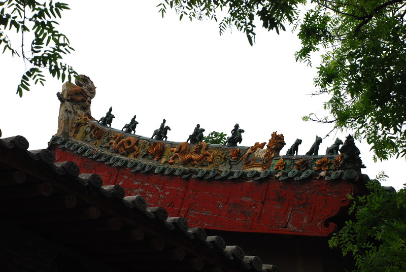 dsc_8127.jpg