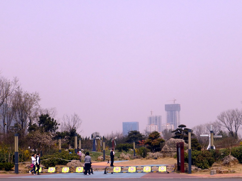 p1060069.jpg