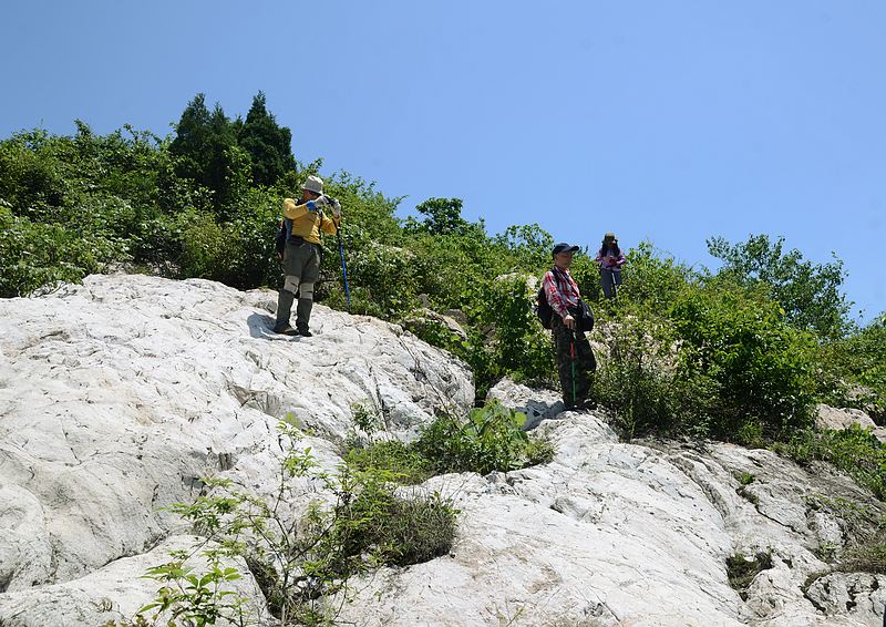 dsc_5162.jpg