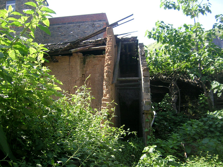 53.jpg