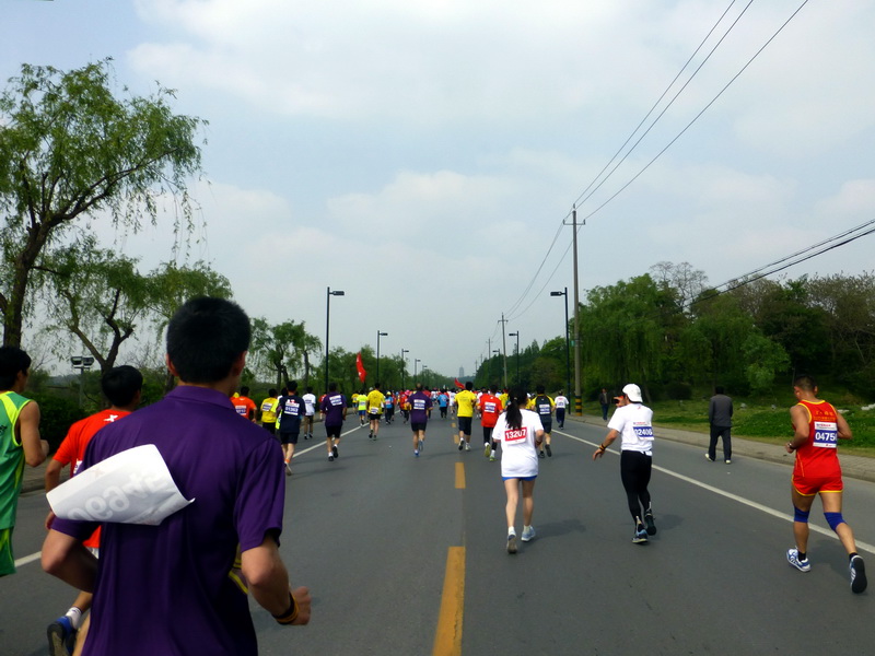 p1060684.jpg