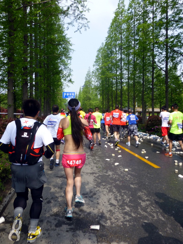p1060690.jpg