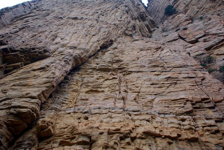 dsc_0176.jpg