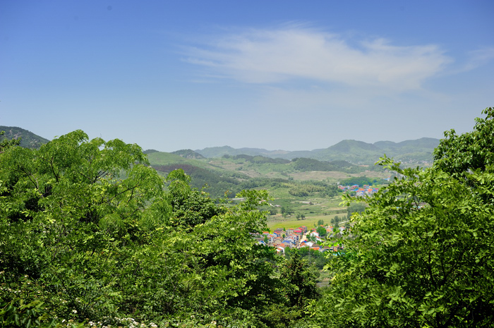 _dsc9680.jpg