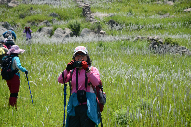 dsc_0631.jpg