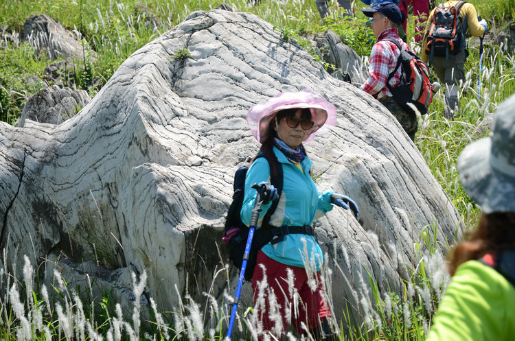 dsc_0633.jpg