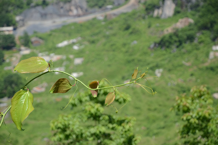 dsc_0635.jpg