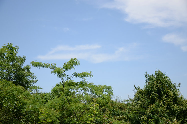 dsc_0672.jpg