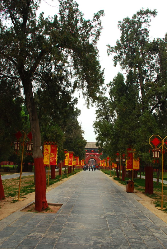 dsc_8184.jpg