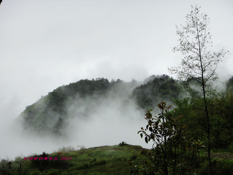 dsc09623.jpg