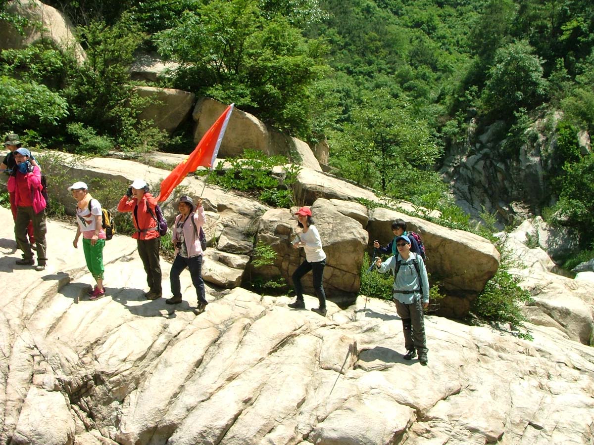 dscf8738.jpg