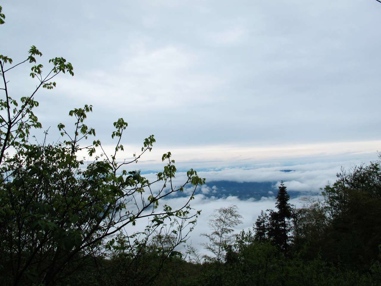 img_8719.jpg