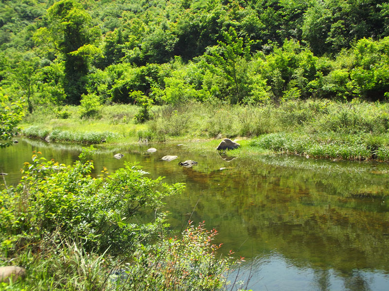 dscf1927_.jpg