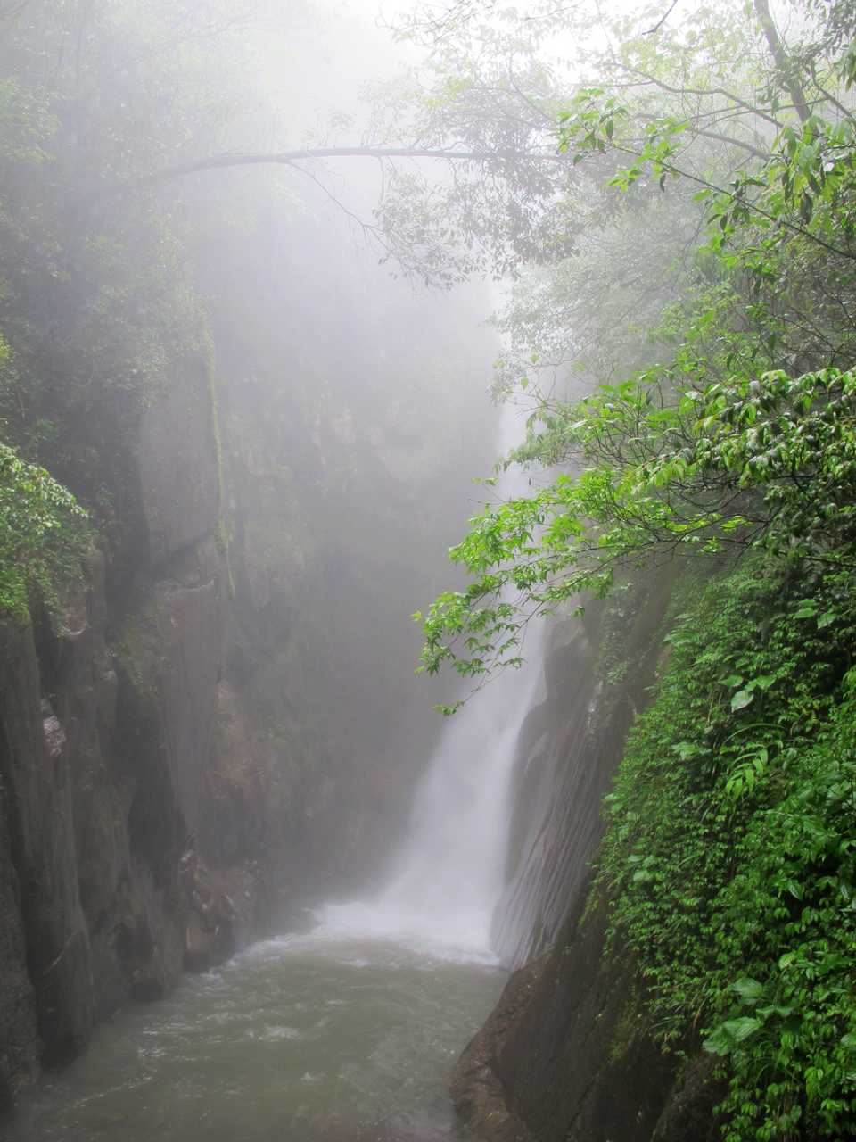 img_8761.jpg