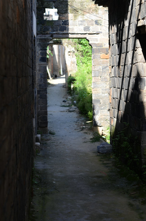 dsc_0803.jpg