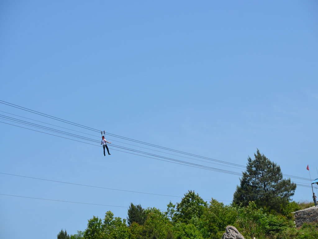 dsc_0113.jpg
