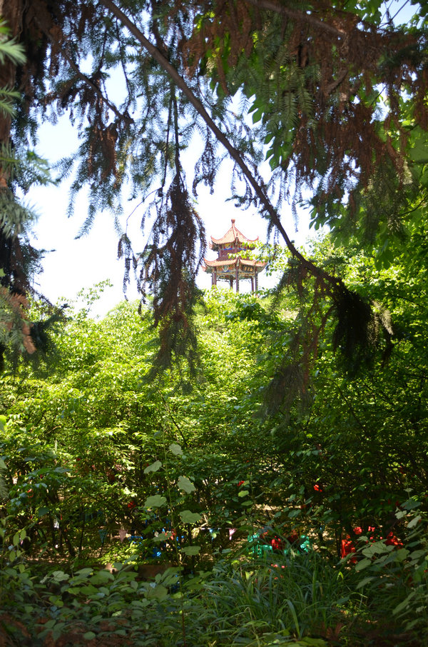dsc_1046.jpg