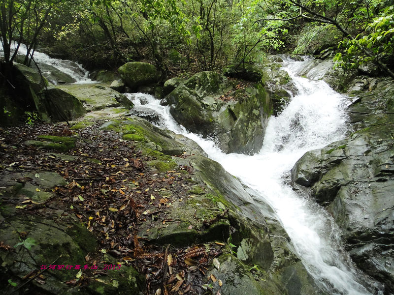 dsc09739.jpg